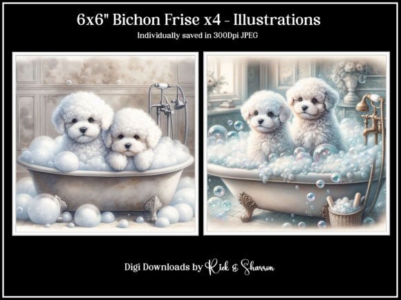 Bichon Frise Puppies X4 Illustrations: A Creative Asset
