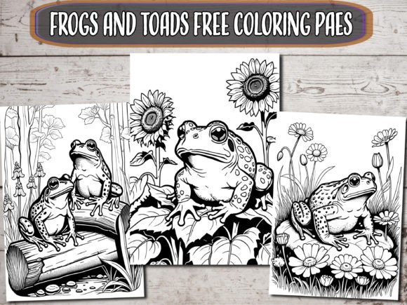 Frogs and Toads Free Coloring Pages for Relaxation, Teaching, and Creative Projects