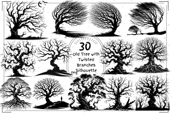 Twisted Tree Silhouettes Ancient Forest: A Practical Guide for Photographers and Nature Lovers